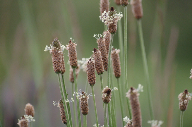 DSCF4591.JPG 제주도 여행 둘째날