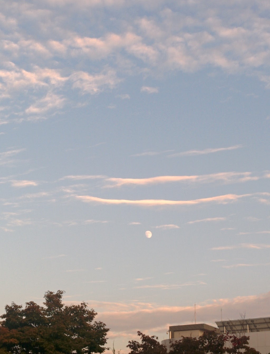 IMG_20150925_175439.jpg 물결구름 사이로 흐르는 KISTI의 달