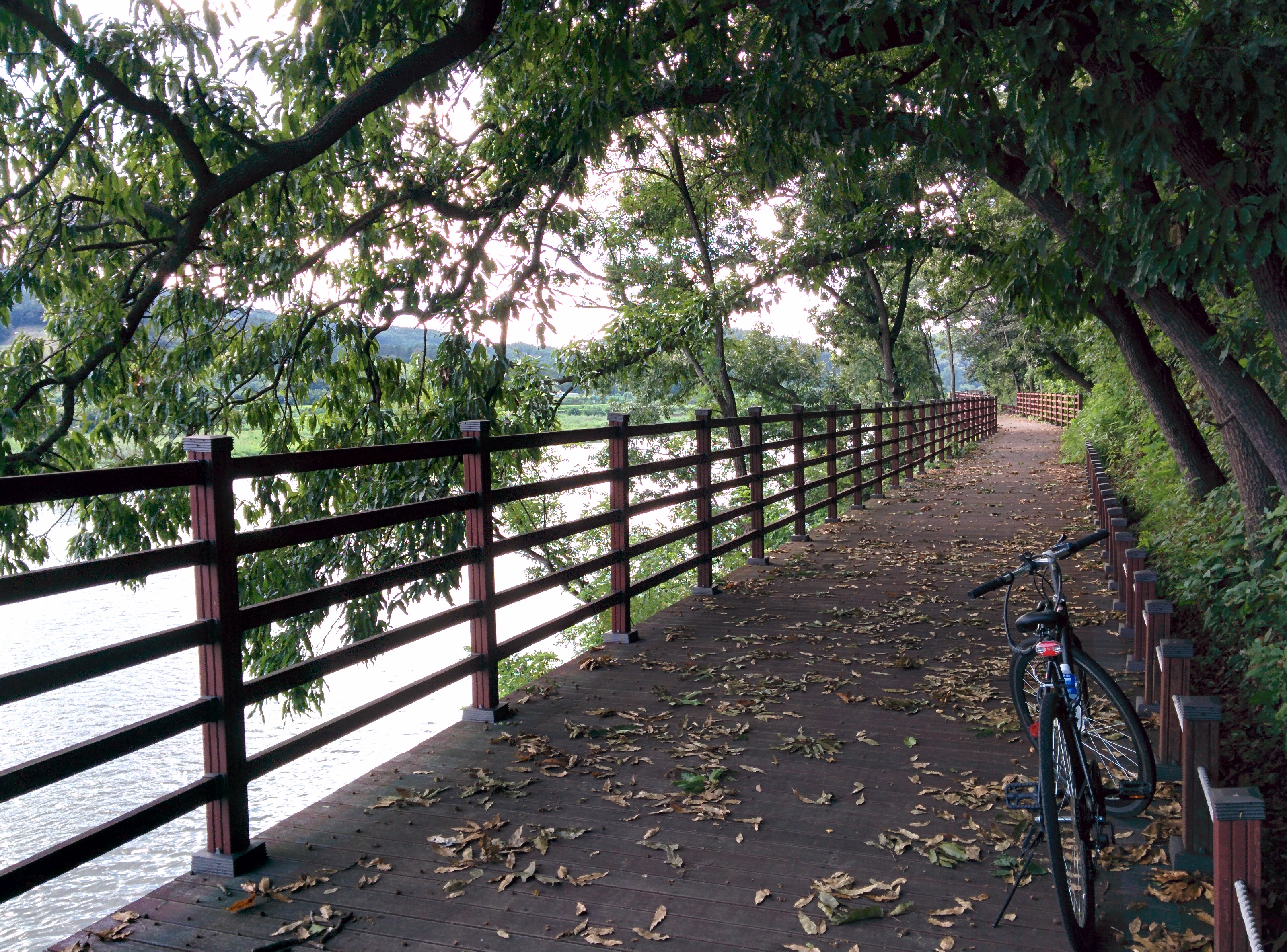 IMG_20150826_153616.jpg 금강변 절벽따라 만든 자전거도로