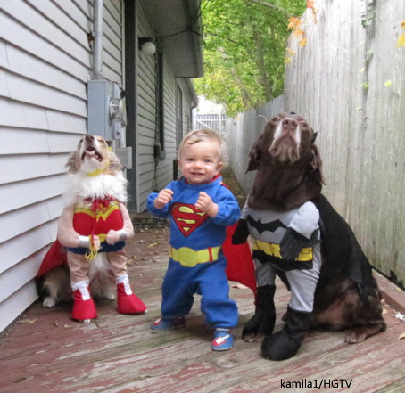 superbabydogs.jpg Wonder Dog, Super Baby, Bat Dog