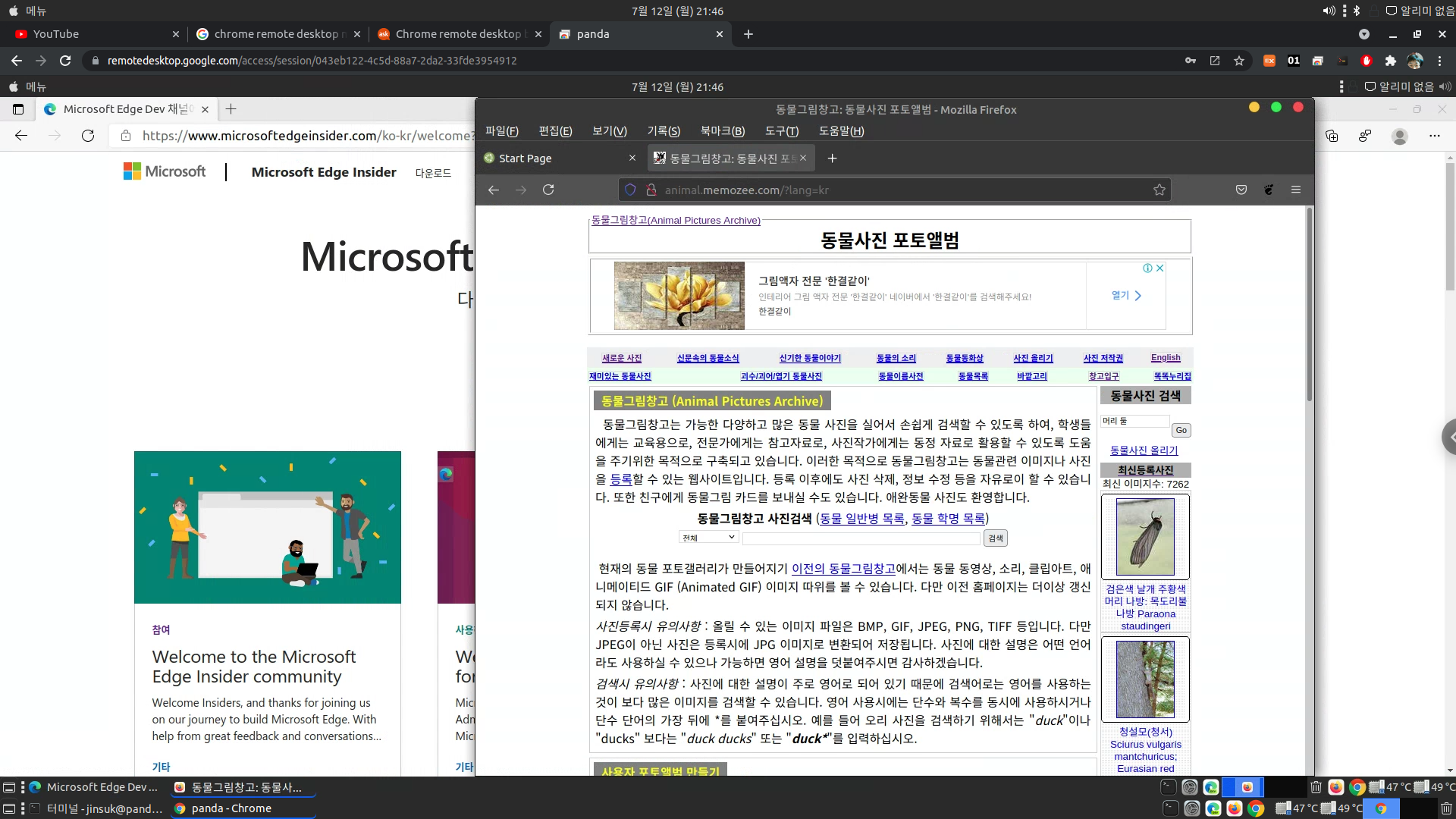 20210712-chrome-remote-desktop-mate-session.png Chrome Remote Desktop mate-session이 빈 화면만 나올 때