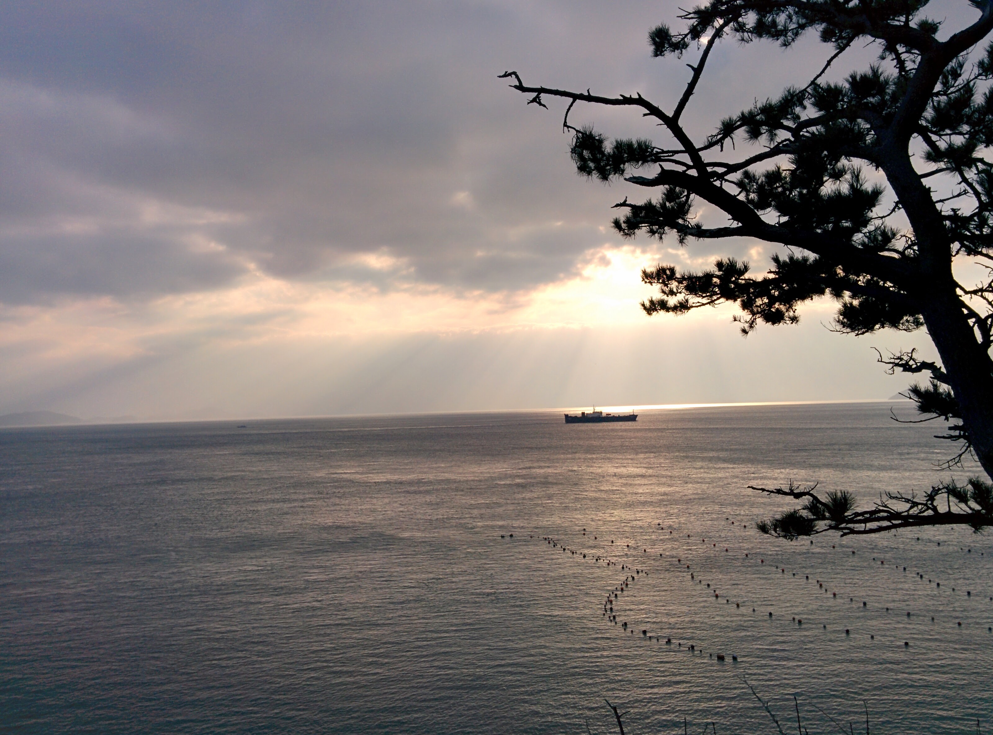 IMG_20151229_155949.jpg 산책로에서 바라다 본 바다, 햇살, 화물선 배, 절벽, 파도