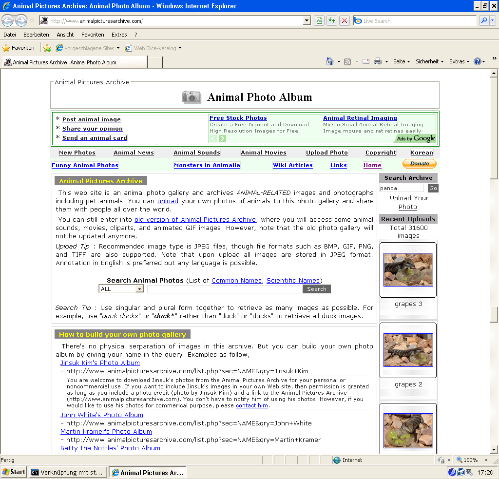 APA-browsershots.org-IE8.png 웹페이지 스크린샷 만들기 - Animal Pictures Archive