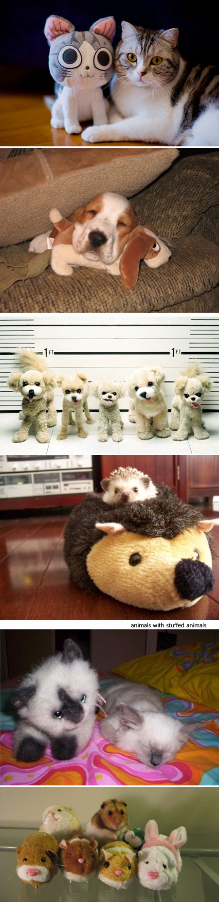 stuffedanimals23.jpg 쌍둥이 인형과 동물 사진, 인기 