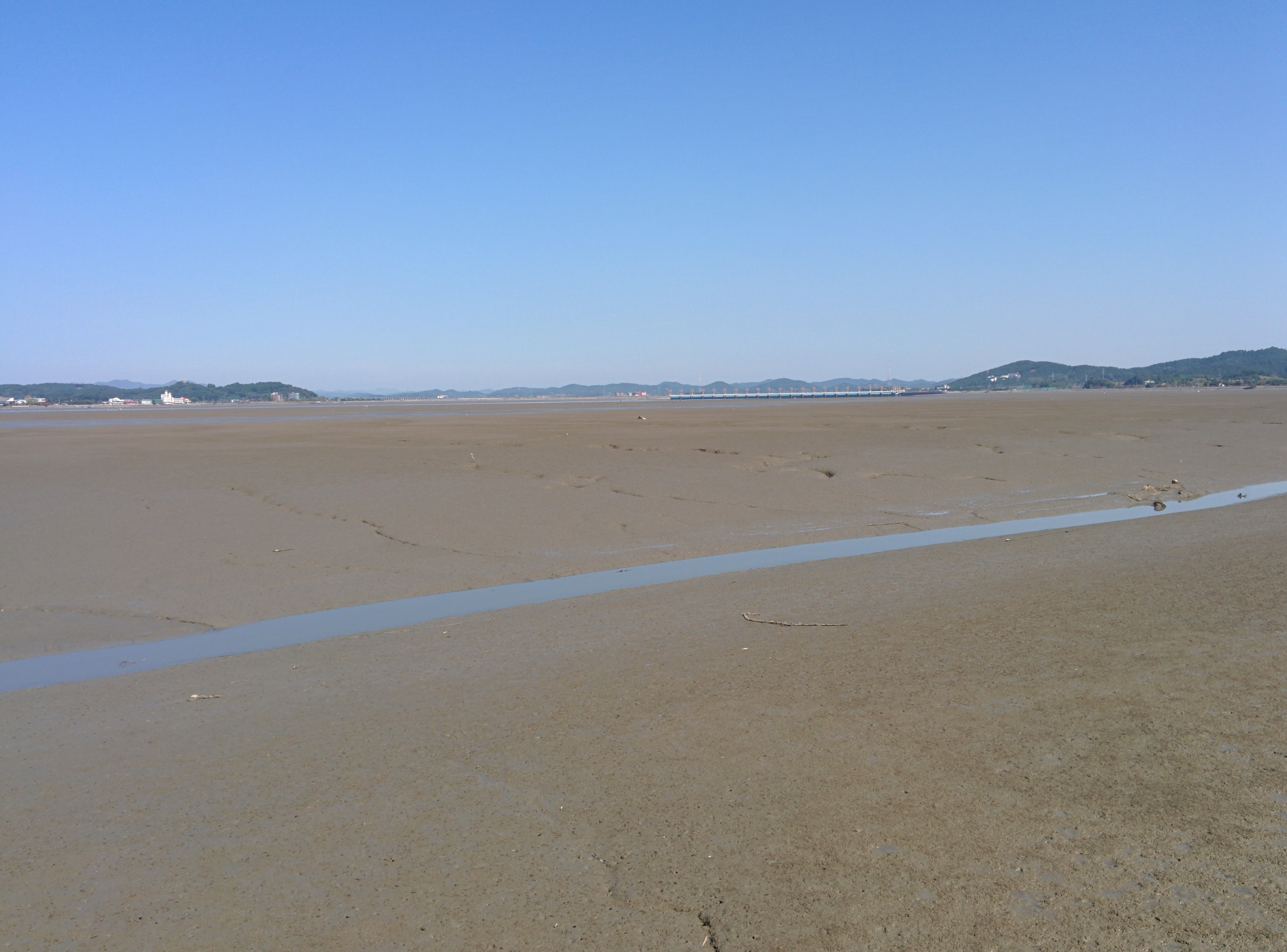 IMG_20150929_112520.jpg 금강하구둑 갯벌과 새