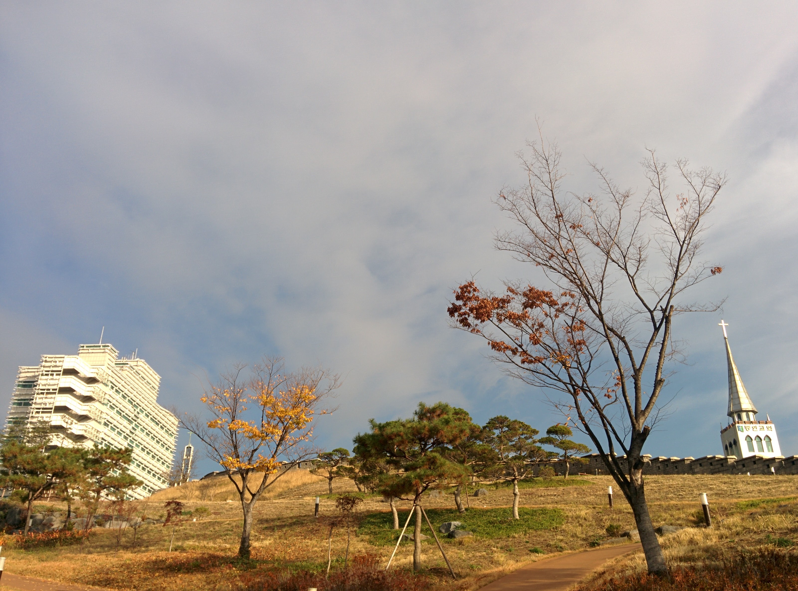 IMG_20151117_090416.jpg 서울 종로 거리 - 종로성당, 흥인지문(興仁之門), 동대문 성곽공원