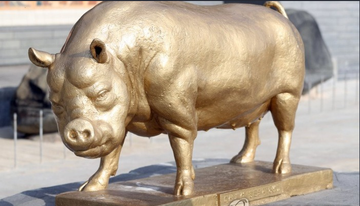 황금돼지상.PNG #전국 돼지 지명은 112곳