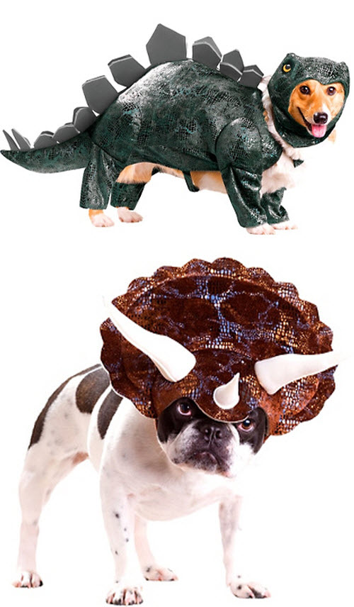 dragon.jpg “강아지를 공룡으로 만들어 드립니다” 英 이색상품 