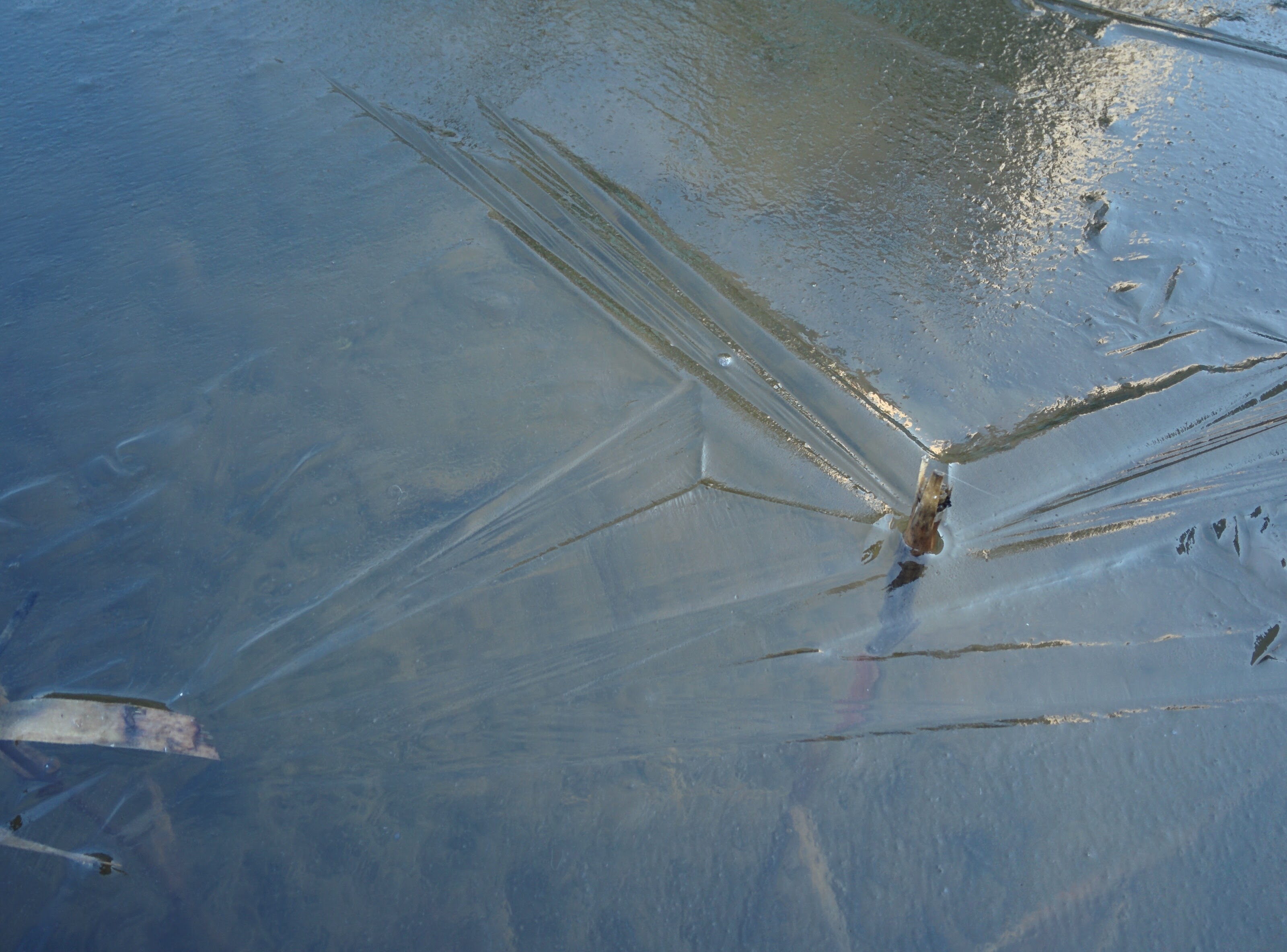 IMG_20151207_142545.jpg 얼음이 언 국가수리과학연구소 작은 연못