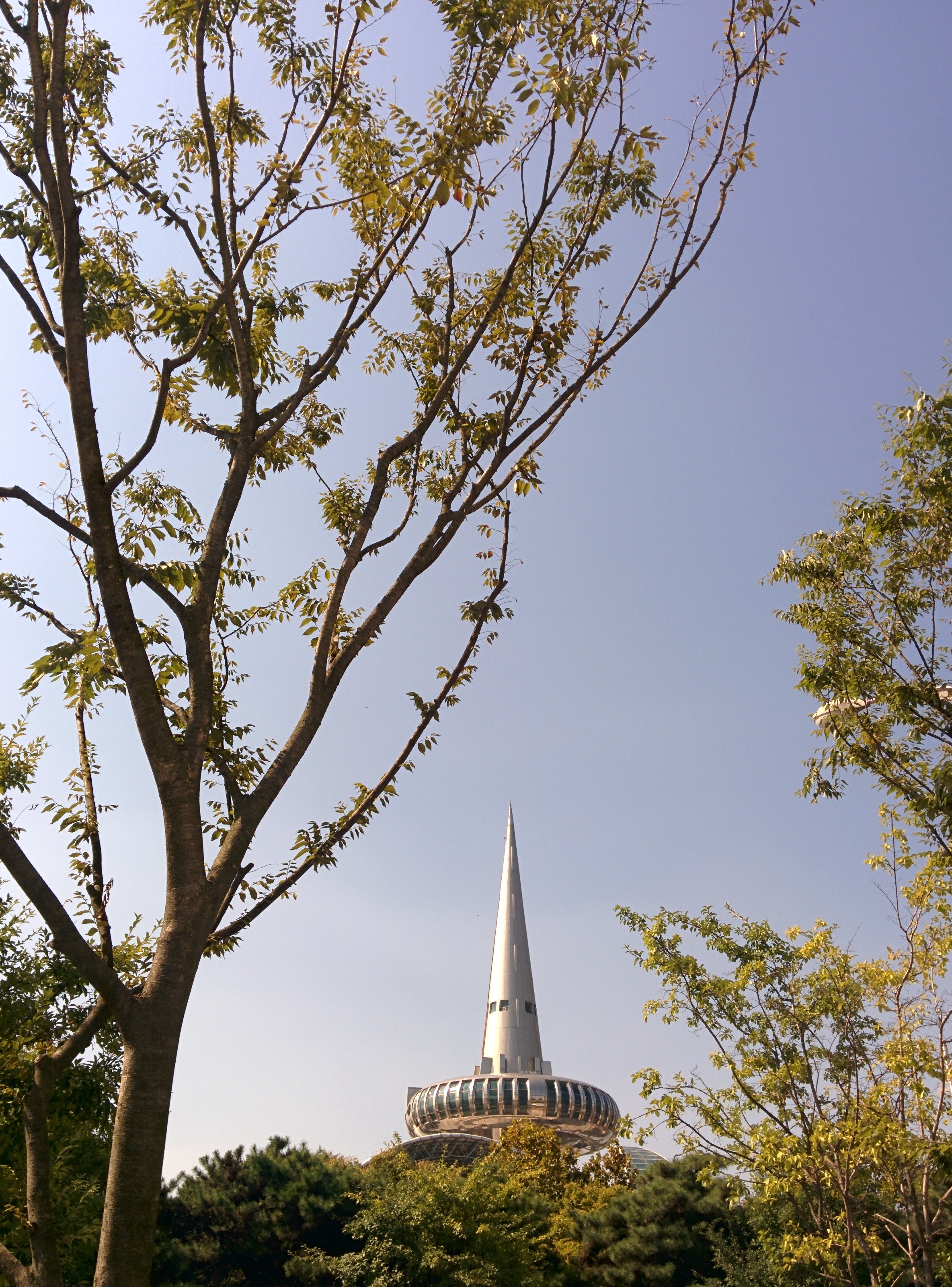 IMG_20151006_125956.jpg 느티나무 사이로 보이는 한빛탑 꼭대기