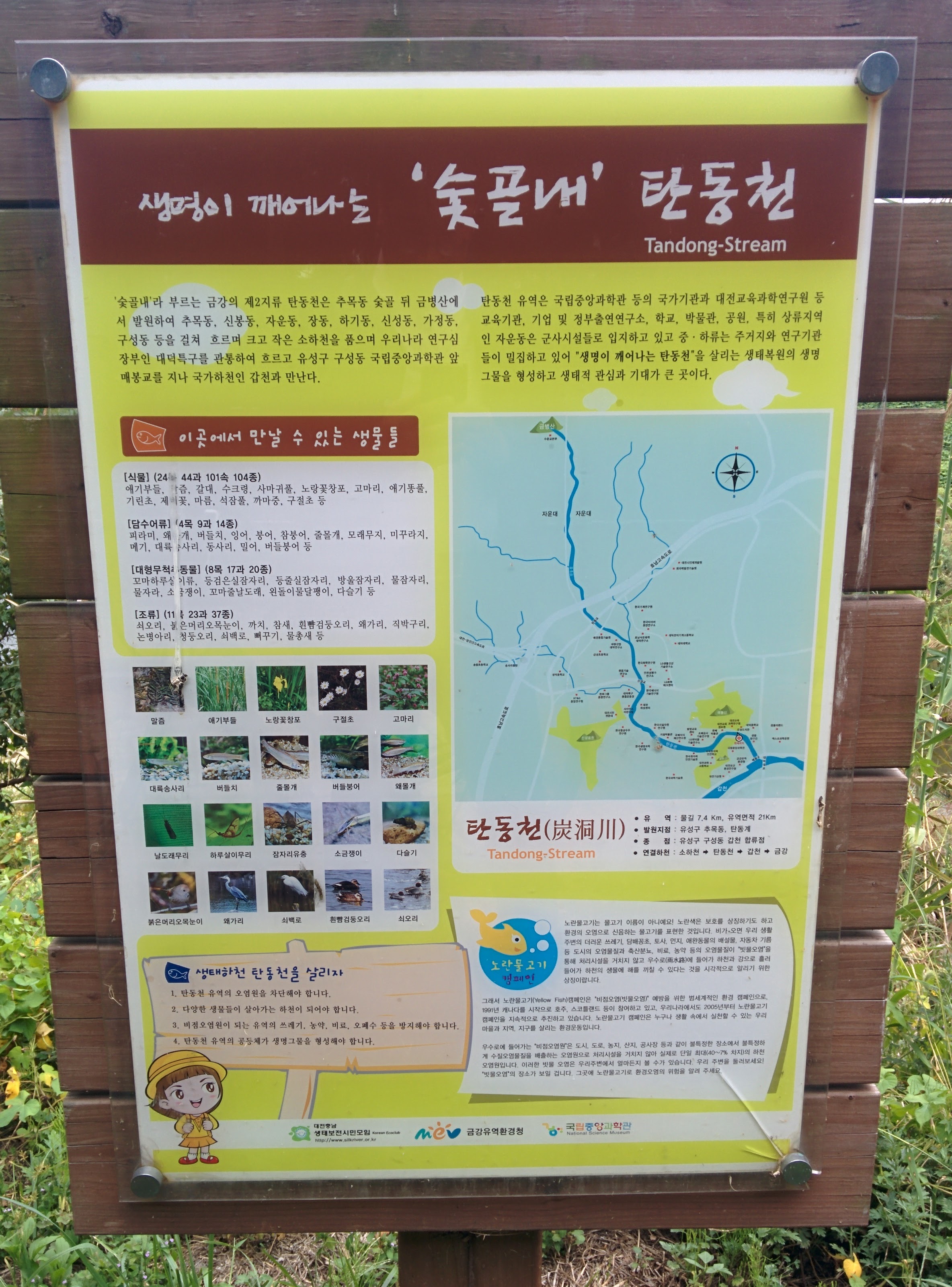 IMG_20150923_160851.jpg 중국단풍나무 가지아래 정자쉼터