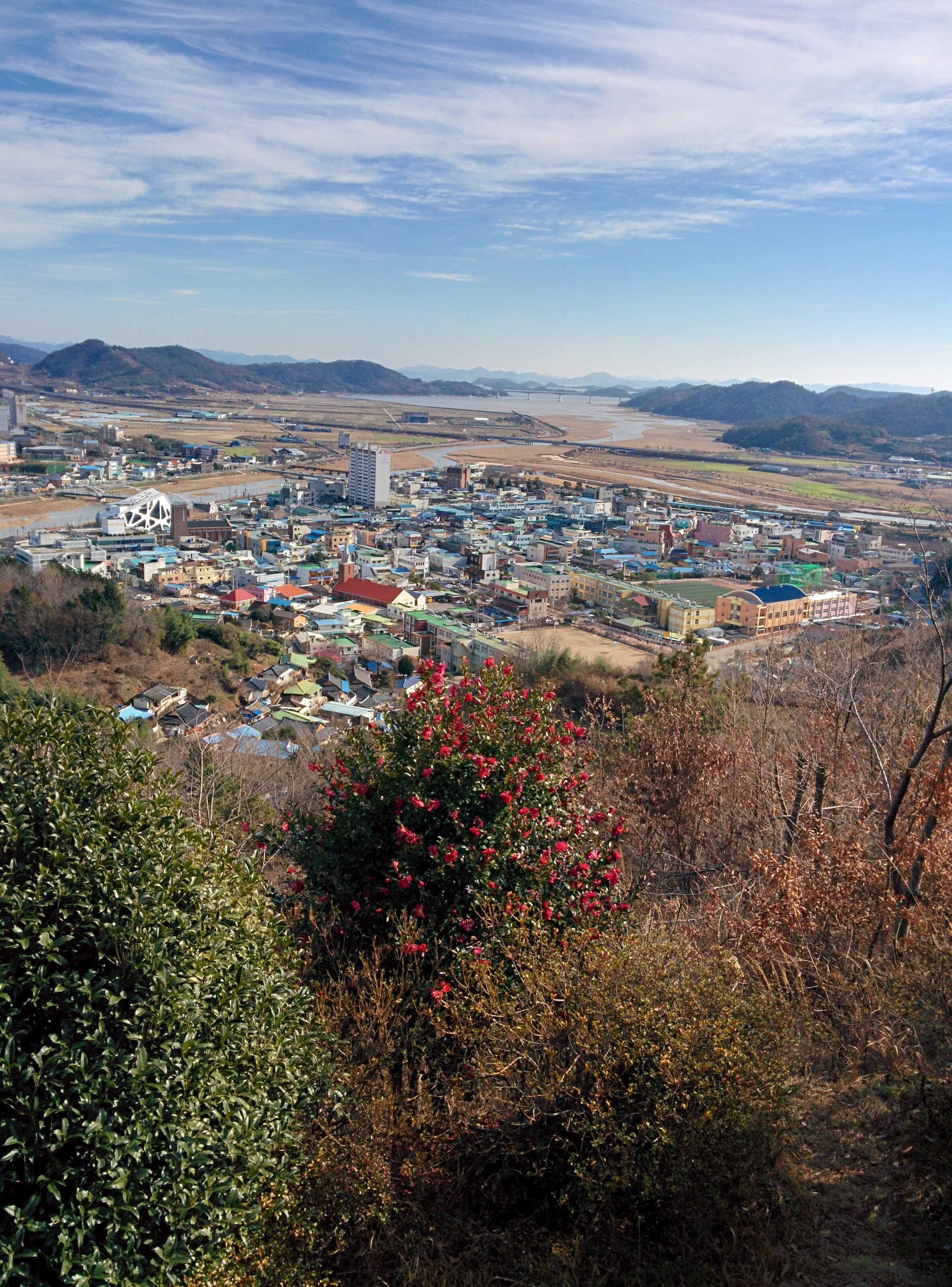 IMG_20151229_122904.jpg 부용산 부용정에서 바라본 벌교 풍경