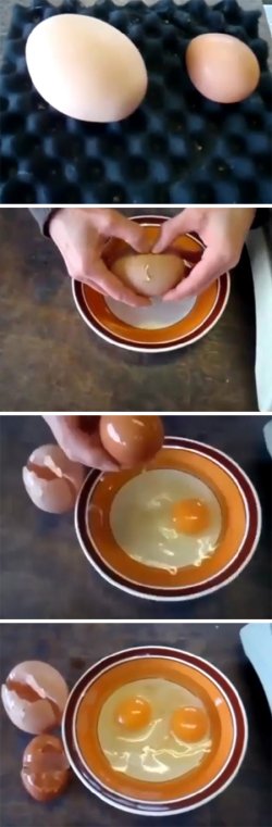20110420103112787.jpg 계란속에 계란이...