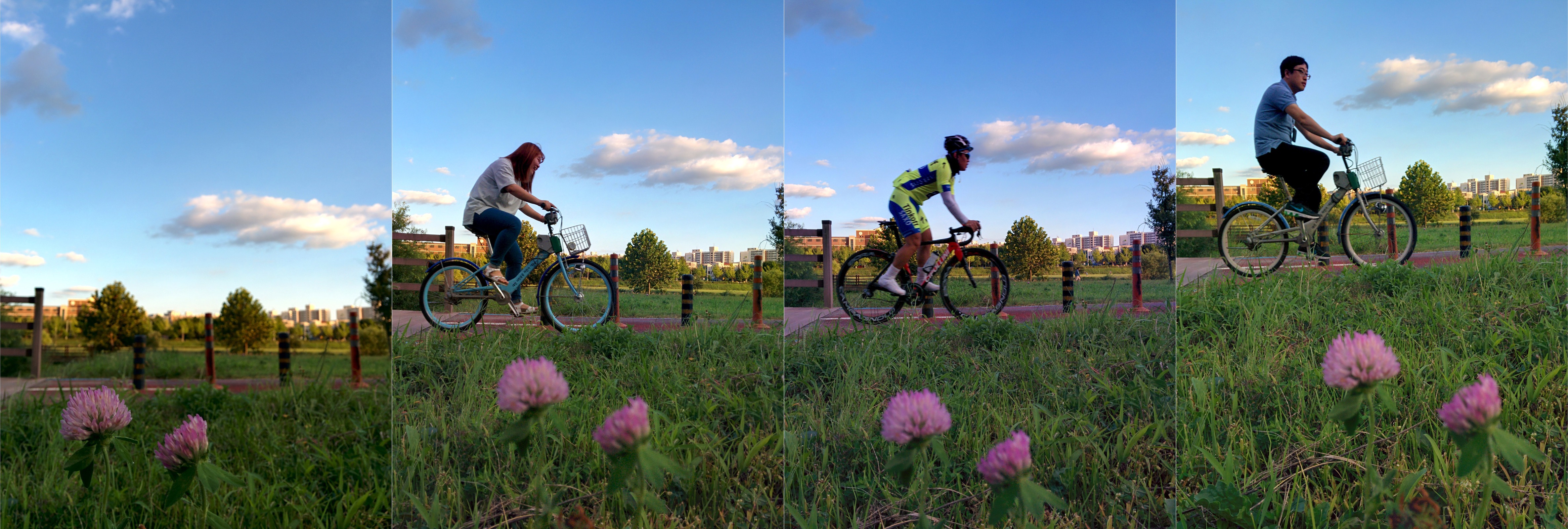 IMG_20150907-bike.jpg 갑천의 자전거 타는 사람들과 붉은토끼풀 꽃